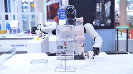 5.gif