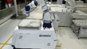 sunbet官网HSCR5轻载复合机械人