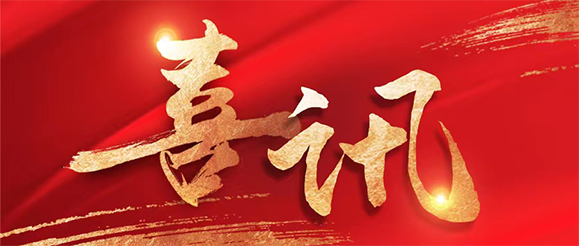 sunbet官网公司总裁张进当选第十四届全国人大代表！