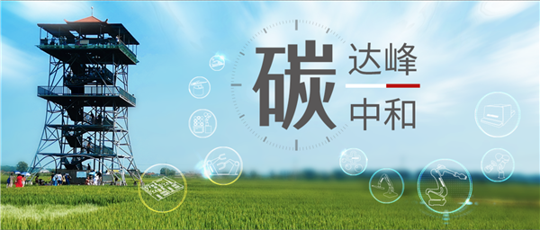【大战术 细落实】sunbet官网为助力实现&ldquo;双碳&rdquo;指标做了哪些事？（上篇）